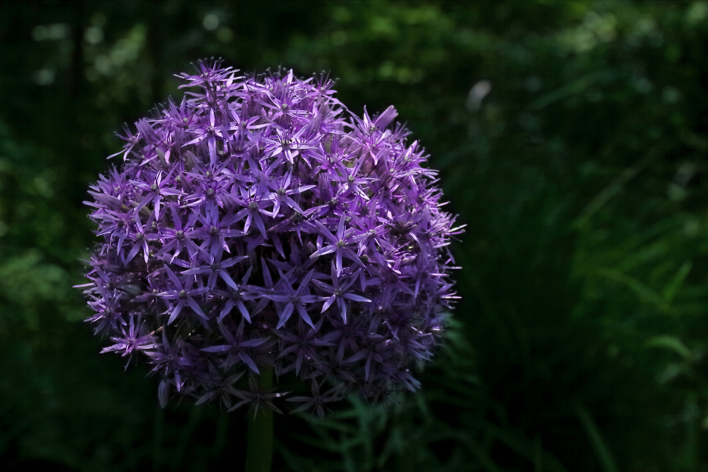 2011 05 28 IMG 32813e